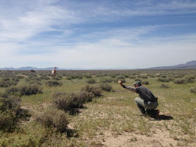 Strategic operations